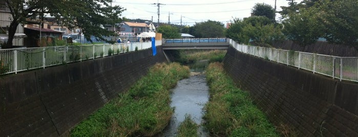 団地橋 is one of 帷子川に架かる橋と周辺の公園・史跡.