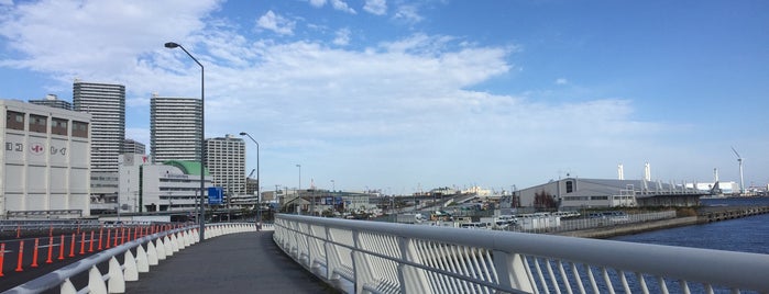 みなとみらい橋 is one of 帷子川に架かる橋と周辺の公園・史跡.