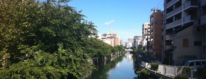 扇田橋 is one of 帷子川に架かる橋と周辺の公園・史跡.