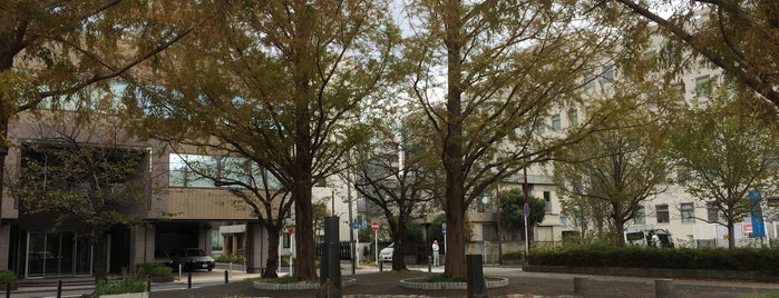 いずみの広場 is one of 公園.