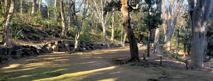 本門寺公園 is one of 散歩にはとっておきの公園.