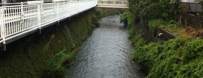本村橋 (二俣川) is one of 帷子川に架かる橋と周辺の公園・史跡.