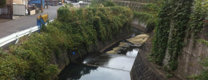 不動橋 is one of 帷子川に架かる橋と周辺の公園・史跡.