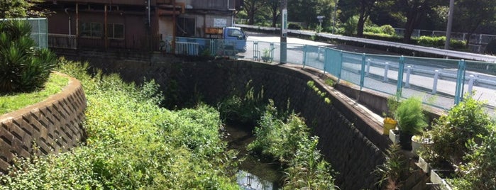 清来橋 is one of 帷子川に架かる橋と周辺の公園・史跡.