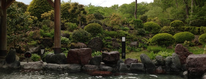 御胎内温泉健康センター is one of Tempat yang Disukai ヤン.