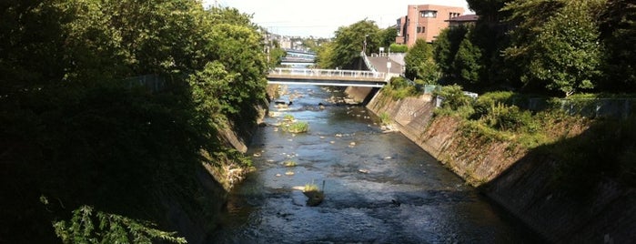 水道橋 is one of 帷子川に架かる橋と周辺の公園・史跡.