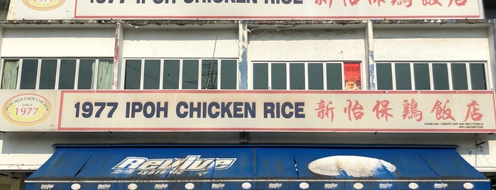 1977 New Restaurant Ipoh Chicken Rice 新怡保鸡饭店 is one of グルメ.