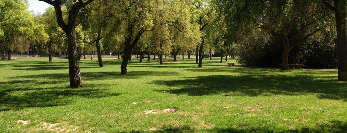 Parque canino is one of Andalucía.