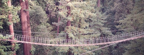 Mount Hermon Redwood Canopy Tours is one of SF restaurants.
