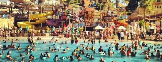 Wild Wadi Water Park is one of Дубай.
