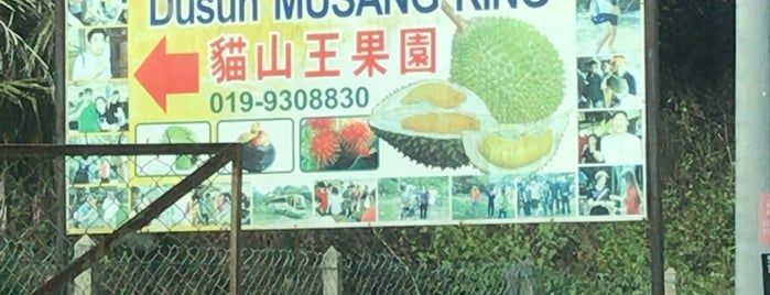 Dusun musang king is one of Rahmat 님이 좋아한 장소.
