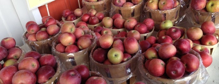 Love Apple Farm is one of Pick Your Own NYC.