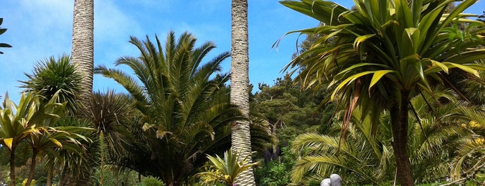 Tresco Abbey Gardens is one of London saved places.