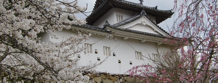 Izushi Castle Ruins is one of 出石皿そばと城下町.