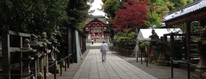 Iwashimizu Hachimangu Shrine is one of 神社・寺.