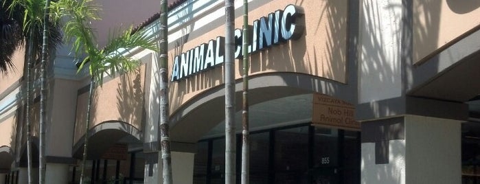 Nob Hill Animal Clinic is one of great south Florida secrets.