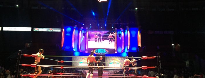 Arena México is one of 365 places for 2014.
