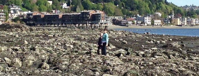 Rocky Beach is one of Seattle Places to Try.