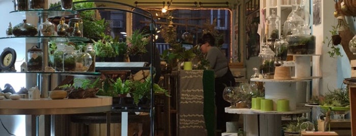 Twig Terrariums is one of Shops in The City.