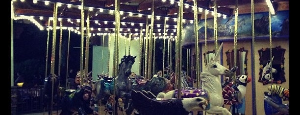 Tom Mankiewicz Conservation Carousel is one of Lugares favoritos de Kevin.