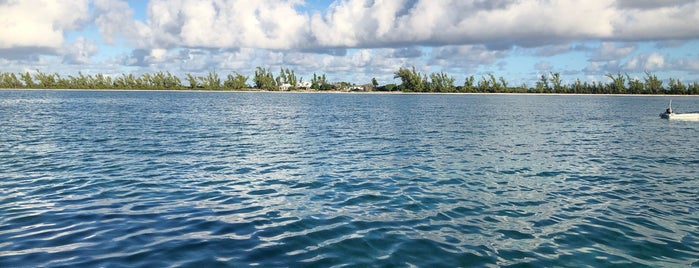 Neptune's Treasure is one of Tempat yang Disukai David.