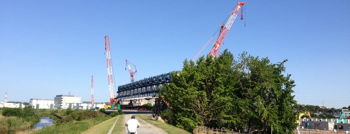 Shin-Yokohama Park is one of 公園・庭園.