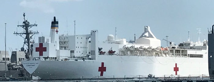 US Navy Hospital Ship Comfort is one of Places been visited.