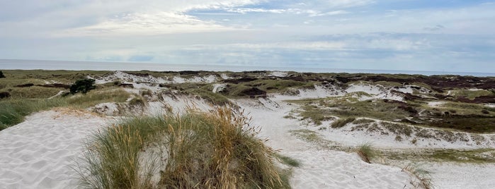 Dueodde Strand is one of Bornholm.