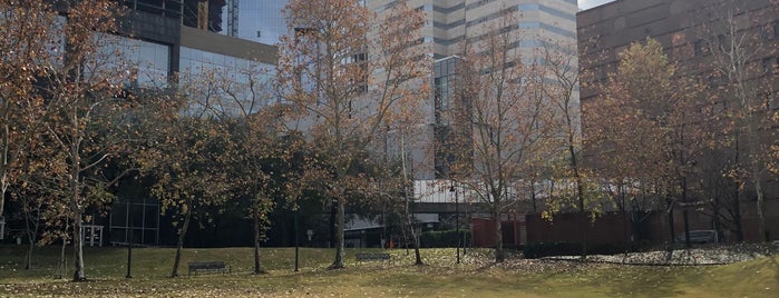 Sesquicentennial Park is one of Parks: Houston.