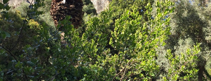 Latomia Dei Cappuccini is one of Sicilia.