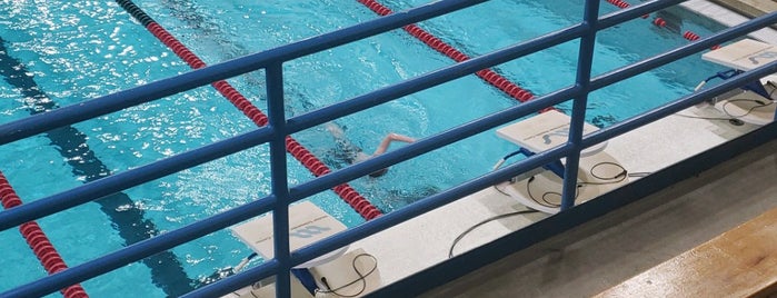 Schroeder Aquatic Center is one of The Y.
