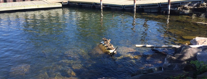 Community Sailing Center is one of Afiさんのお気に入りスポット.