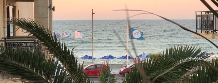 Atlantis Beach Hotel is one of Lutz'un Beğendiği Mekanlar.