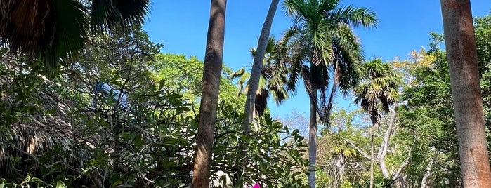 Islas del Rosario is one of cartagena.