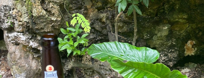 Harrison's Cave is one of BBDOS.