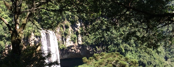 Parque Estatal de Caracol is one of Lugares favoritos de Denis.