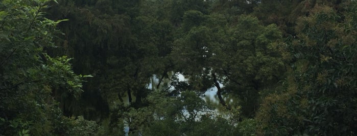 Bosque de Chapultepec is one of Locais curtidos por Pablo.