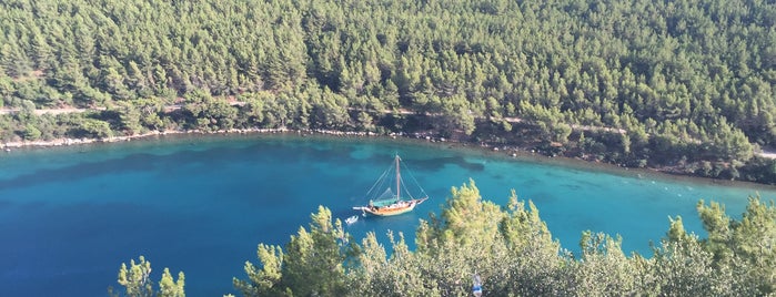 Cennet Koyu is one of Umut'un Beğendiği Mekanlar.