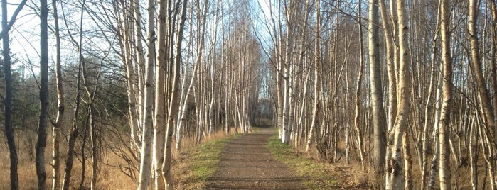 Baxter Bog Park is one of Posti salvati di Kimmie.