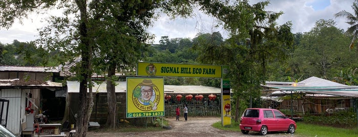 Signal Hill Eco Farm is one of Kk.