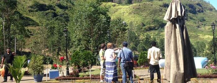 Blue Field Tea Gardens is one of Orte, die Christina gefallen.