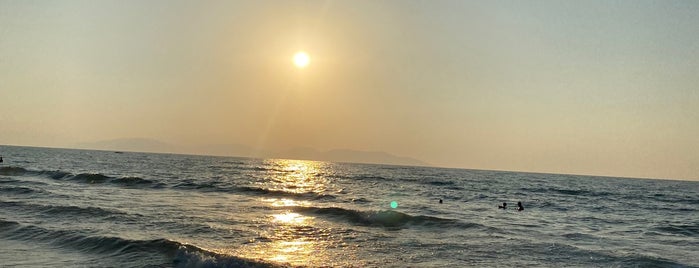 Panionion Plajı is one of SAHİLLER & PLAJLAR -Turkey / Coast and beaches.