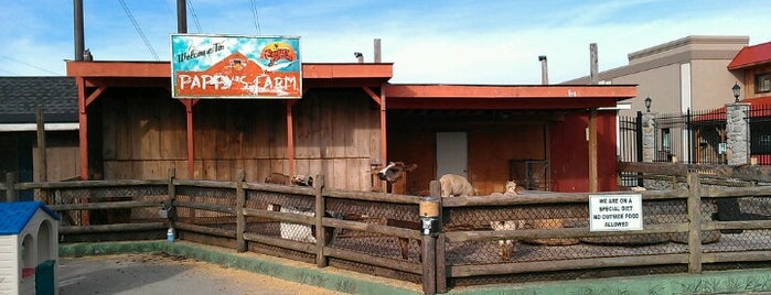 Pappy's Farm is one of Lizzieさんのお気に入りスポット.