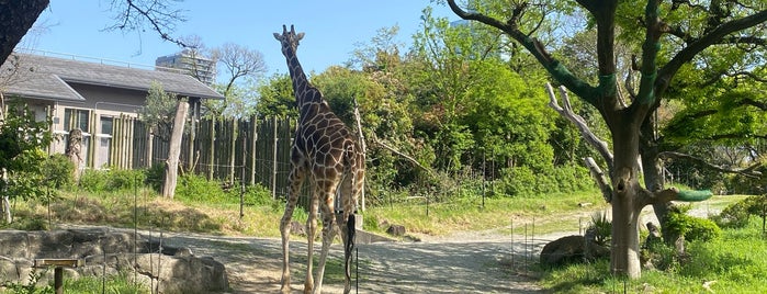 Tennoji Zoo is one of Japan footprints.