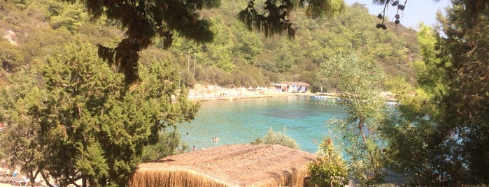 Bodrum Park Resort Havuz Basi is one of Orte, die FATOŞ gefallen.