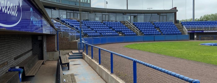 Hoofddorp Pioneers ballpark is one of Play Ball !.