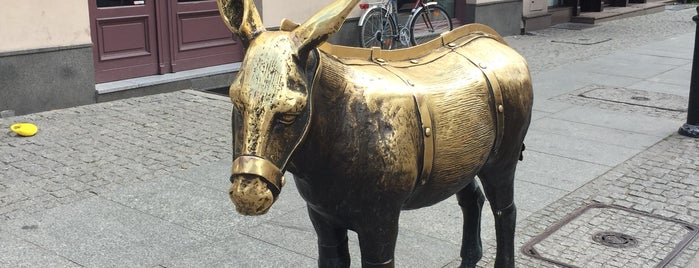 Donkey Statue is one of Torun must see!.