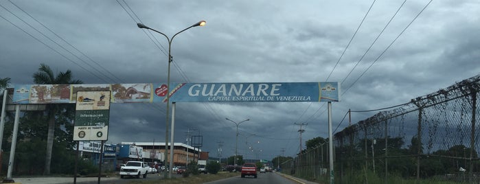 Guanare is one of Edwings.
