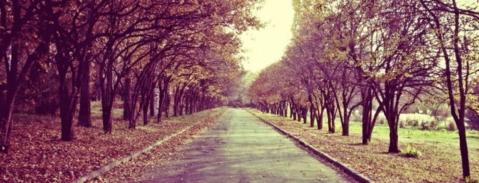 Ботаникалық бақ / Ботанический сад / Botanical Garden is one of Almaty #4sqCities.