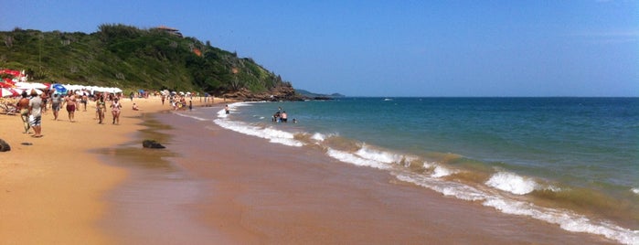 Praia da Tartaruga is one of IOIÔ HOSTEL - PRAIAS DA REGIÃO DOS LAGOS.